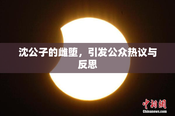 沈公子的雌堕，引发公众热议与反思