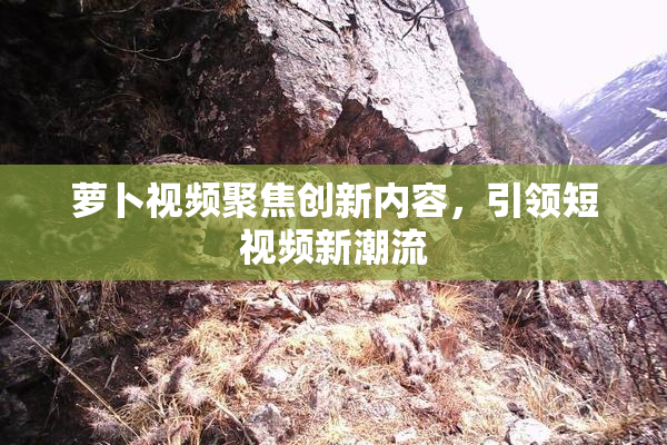 萝卜视频聚焦创新内容，引领短视频新潮流