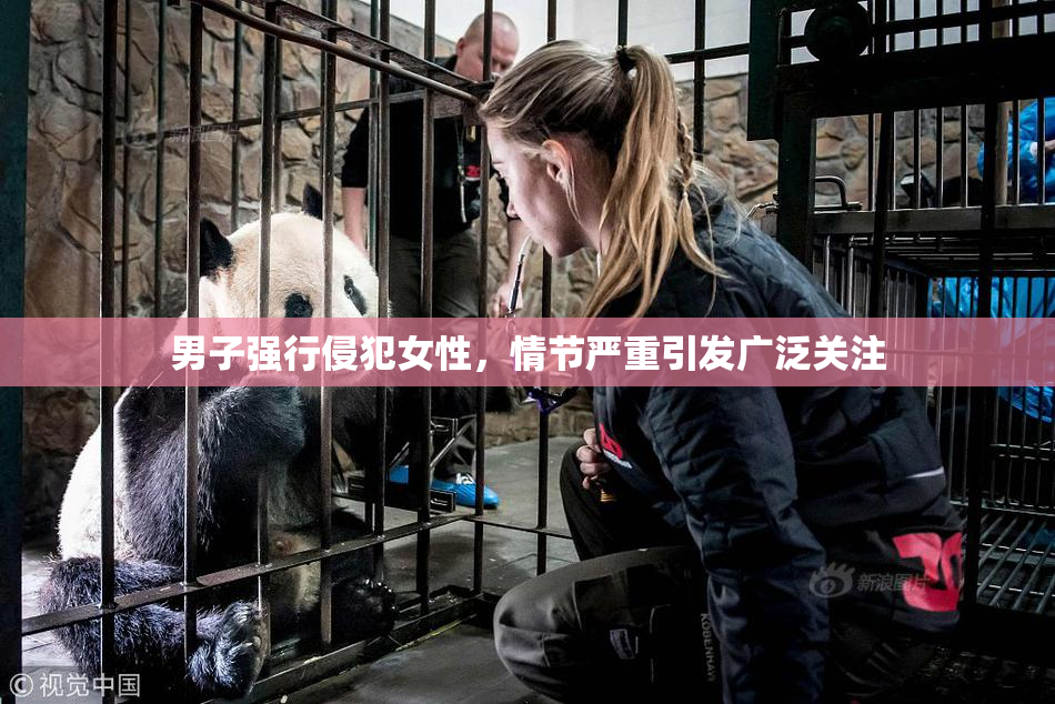 男子强行侵犯女性，情节严重引发广泛关注