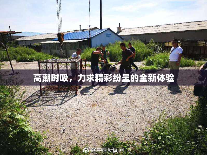 高潮时吸，力求精彩纷呈的全新体验