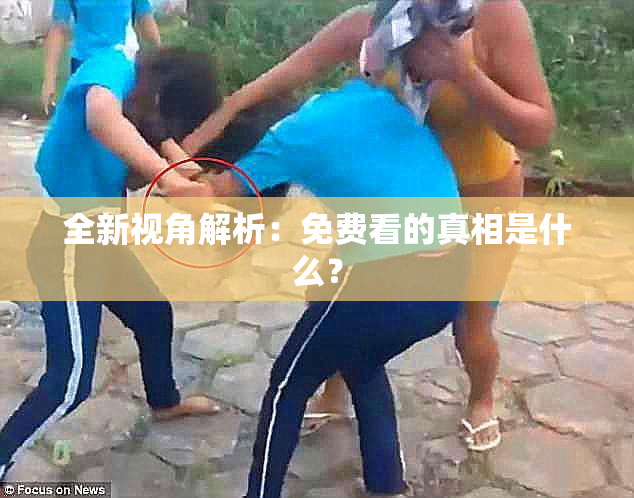 全新视角解析：免费看的真相是什么？
