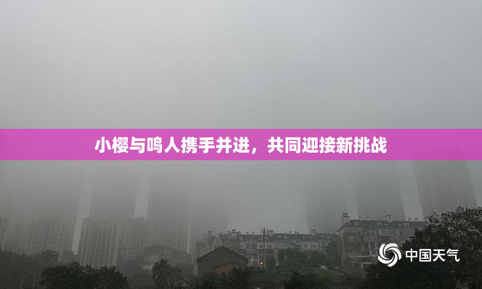 小樱与鸣人携手并进，共同迎接新挑战