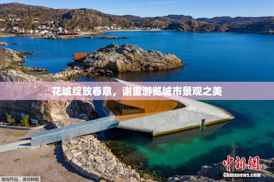 花城绽放春意，谢重游览城市景观之美