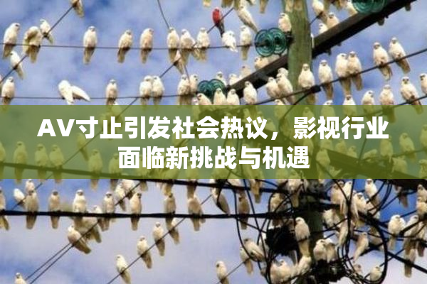 AV寸止引发社会热议，影视行业面临新挑战与机遇