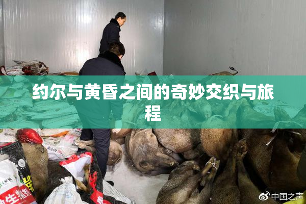 约尔与黄昏之间的奇妙交织与旅程
