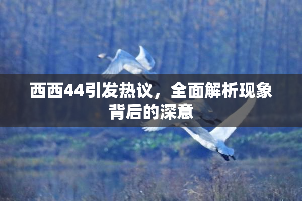 西西44引发热议，全面解析现象背后的深意