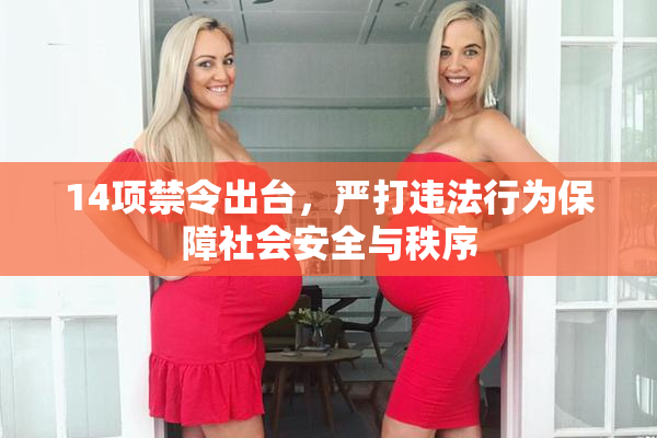 14项禁令出台，严打违法行为保障社会安全与秩序