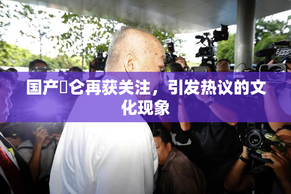 国产婬仑再获关注，引发热议的文化现象
