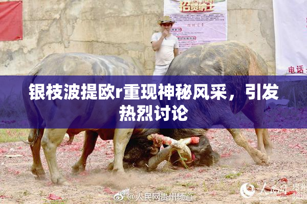 银枝波提欧r重现神秘风采，引发热烈讨论