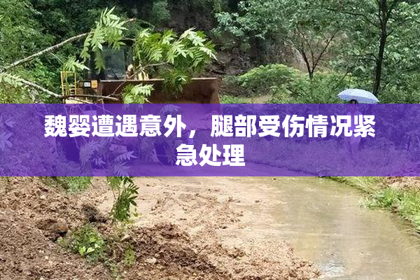 魏婴遭遇意外，腿部受伤情况紧急处理