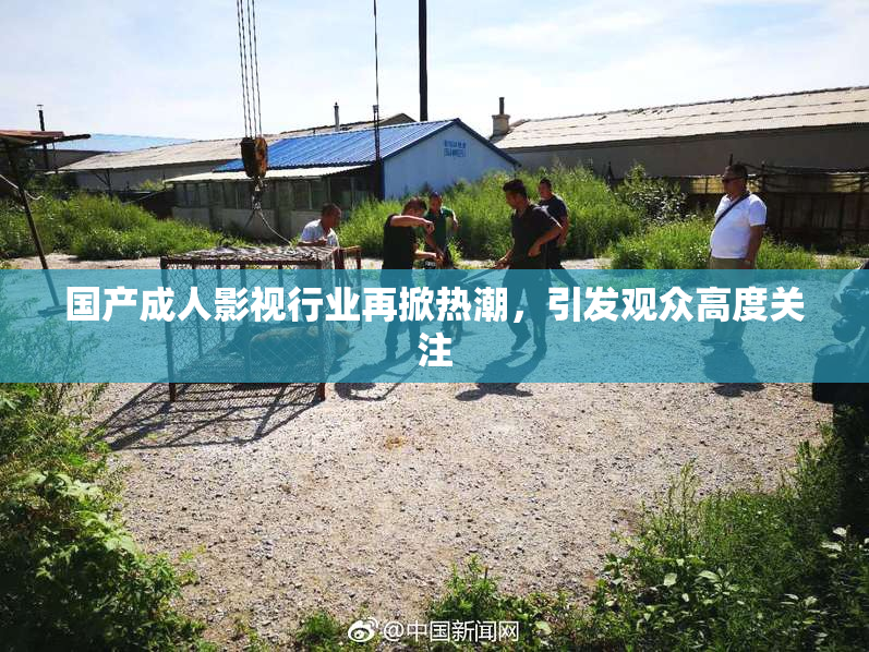 国产成人影视行业再掀热潮，引发观众高度关注