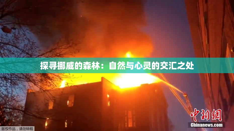 探寻挪威的森林：自然与心灵的交汇之处