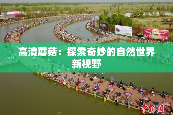 高清蘑菇：探索奇妙的自然世界新视野