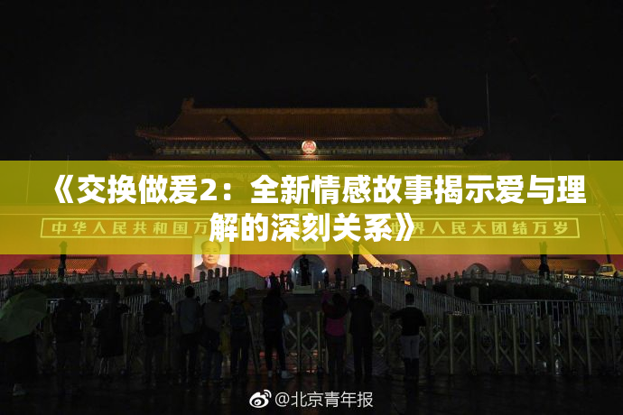 《交换做爰2：全新情感故事揭示爱与理解的深刻关系》