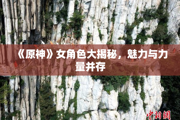 《原神》女角色大揭秘，魅力与力量并存