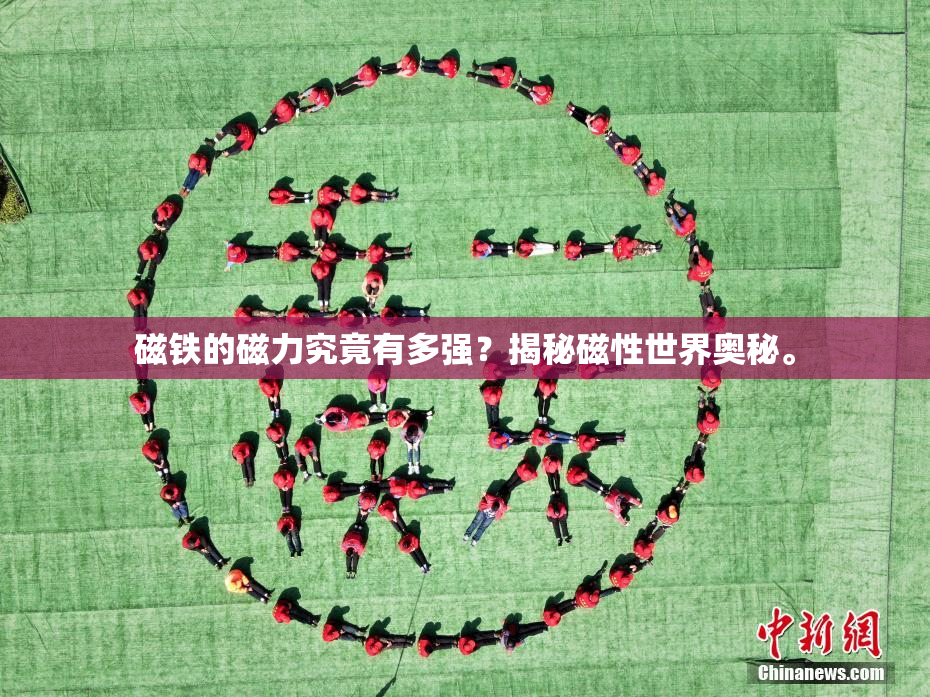 磁铁的磁力究竟有多强？揭秘磁性世界奥秘。