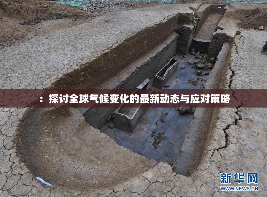 ：探讨全球气候变化的最新动态与应对策略