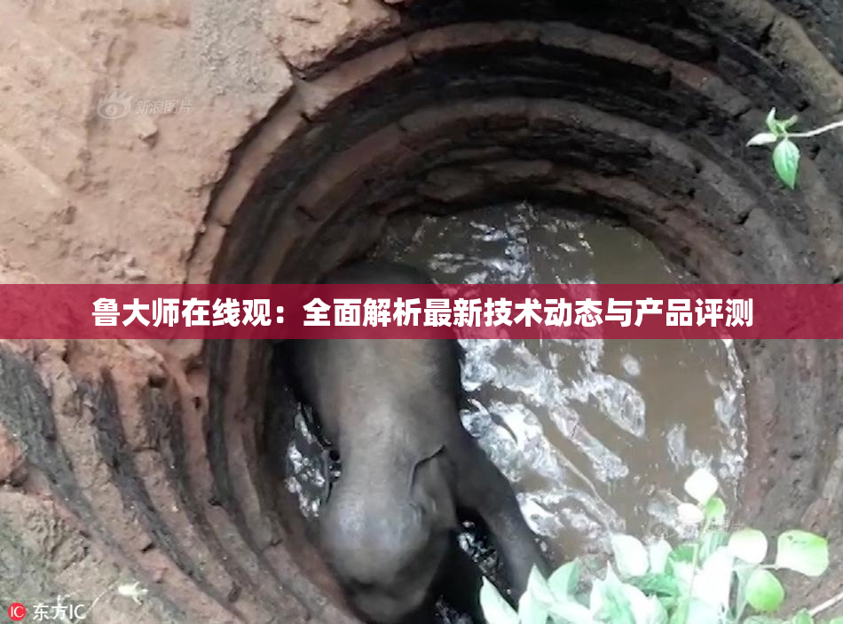 鲁大师在线观：全面解析最新技术动态与产品评测