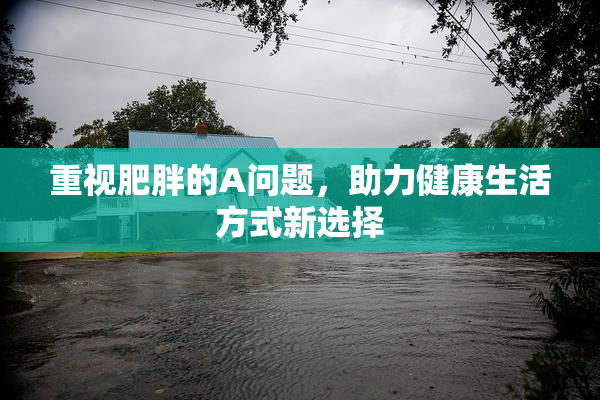 重视肥胖的A问题，助力健康生活方式新选择