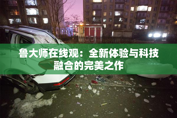 鲁大师在线观：全新体验与科技融合的完美之作