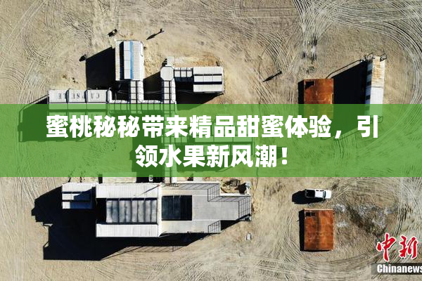 蜜桃秘秘带来精品甜蜜体验，引领水果新风潮！