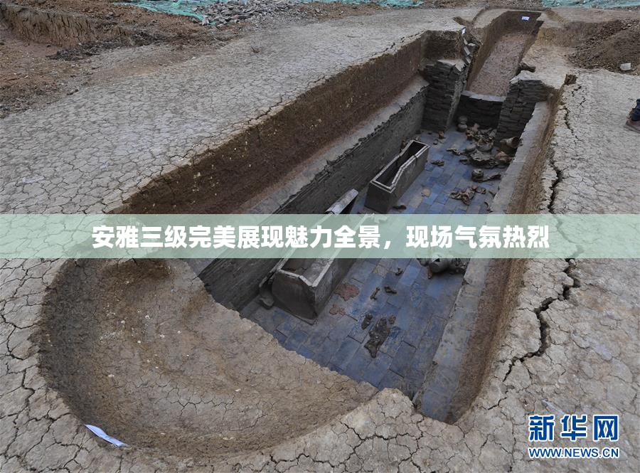 安雅三级完美展现魅力全景，现场气氛热烈
