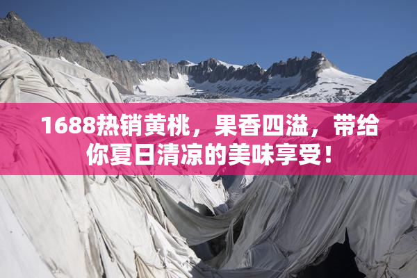 1688热销黄桃，果香四溢，带给你夏日清凉的美味享受！