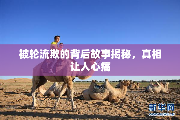 被轮流欺的背后故事揭秘，真相让人心痛