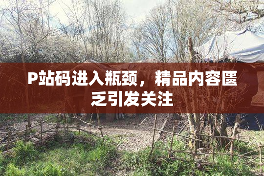 P站码进入瓶颈，精品内容匮乏引发关注