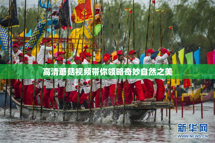高清蘑菇视频带你领略奇妙自然之美