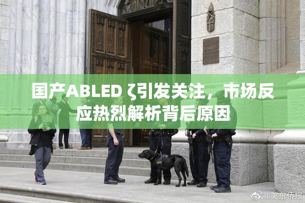 国产ABLED ζ引发关注，市场反应热烈解析背后原因