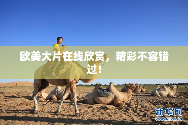 欧美大片在线欣赏，精彩不容错过！