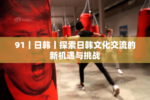 91丨日韩丨探索日韩文化交流的新机遇与挑战