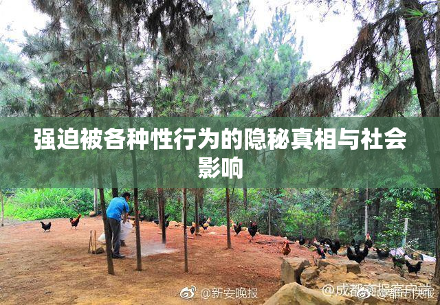 强迫被各种性行为的隐秘真相与社会影响