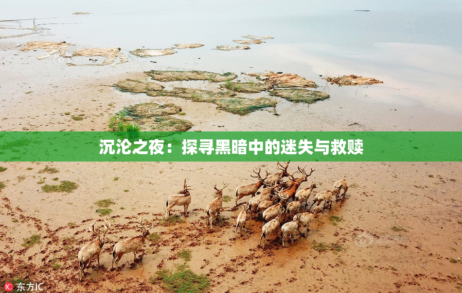 沉沦之夜：探寻黑暗中的迷失与救赎