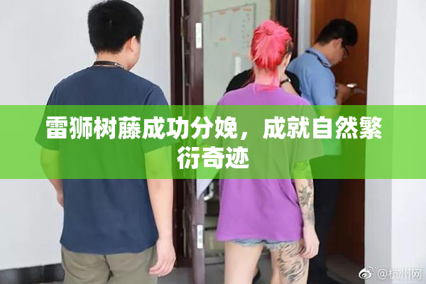 雷狮树藤成功分娩，成就自然繁衍奇迹