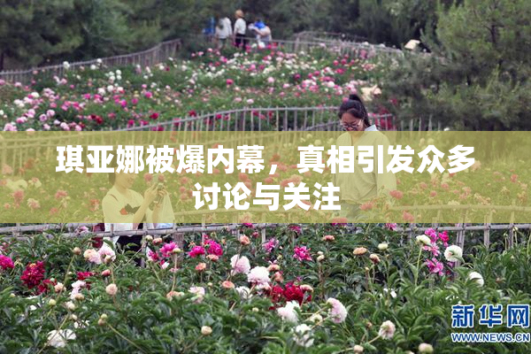 琪亚娜被爆内幕，真相引发众多讨论与关注