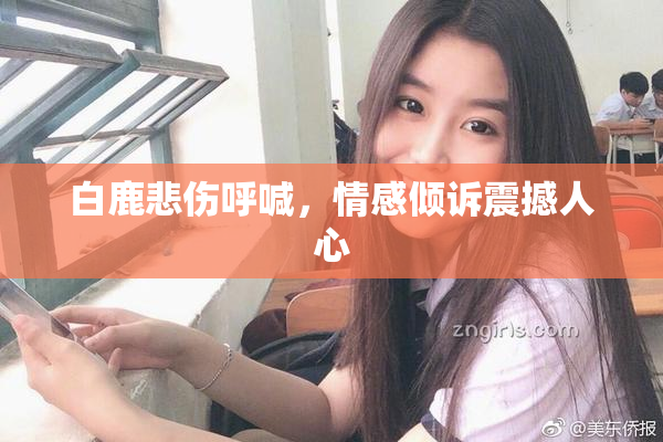 白鹿悲伤呼喊，情感倾诉震撼人心