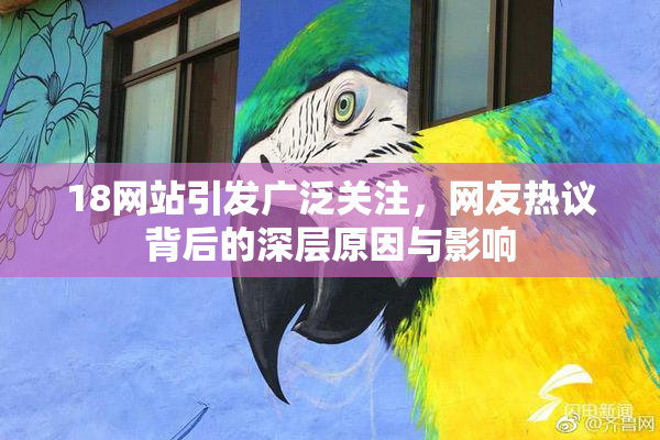 18网站引发广泛关注，网友热议背后的深层原因与影响