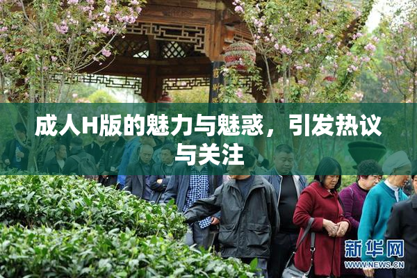 成人H版的魅力与魅惑，引发热议与关注