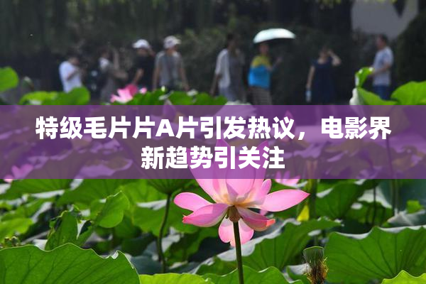 特级毛片片A片引发热议，电影界新趋势引关注
