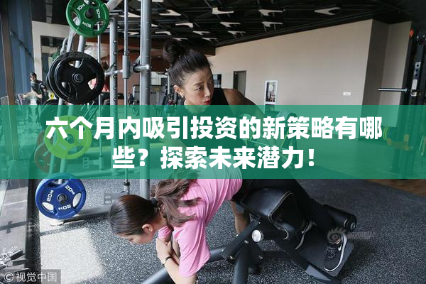 六个月内吸引投资的新策略有哪些？探索未来潜力！