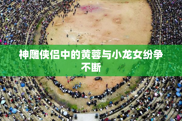 神雕侠侣中的黄蓉与小龙女纷争不断