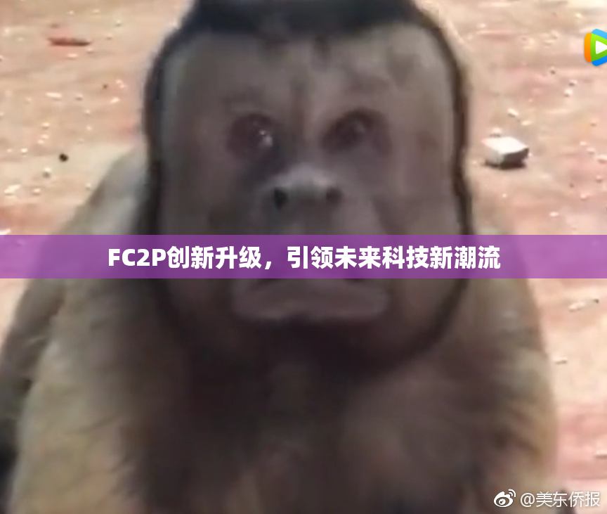 FC2P创新升级，引领未来科技新潮流