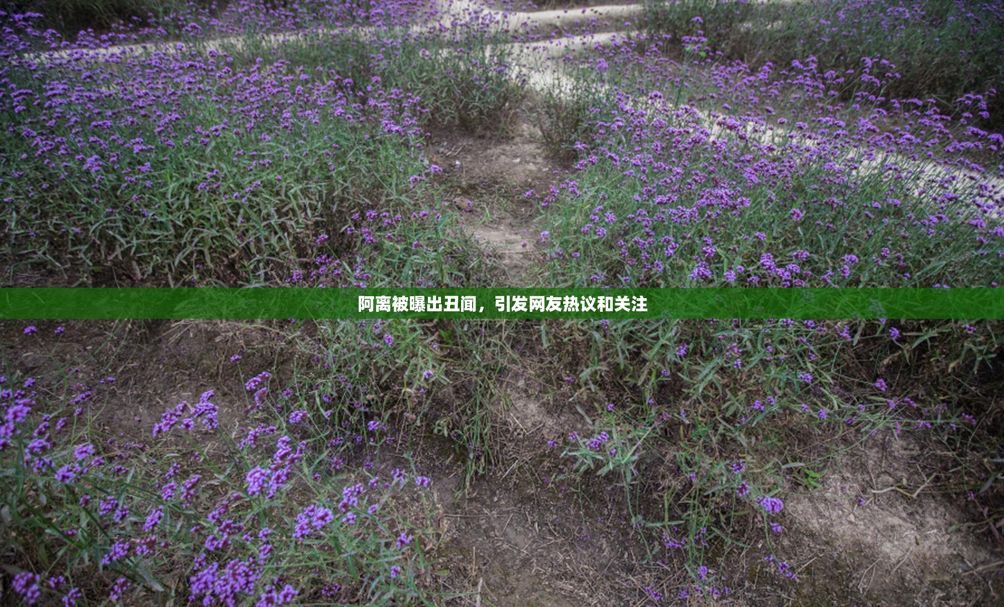 阿离被曝出丑闻，引发网友热议和关注