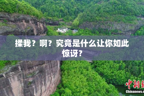 揉我？啊？究竟是什么让你如此惊讶？