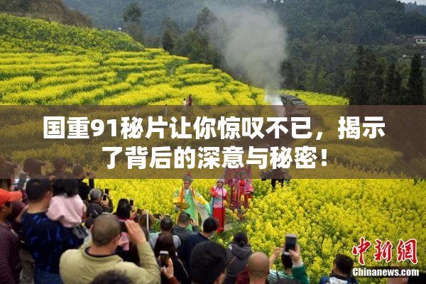 国重91秘片让你惊叹不已，揭示了背后的深意与秘密！