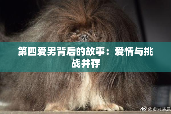 第四爱男背后的故事：爱情与挑战并存