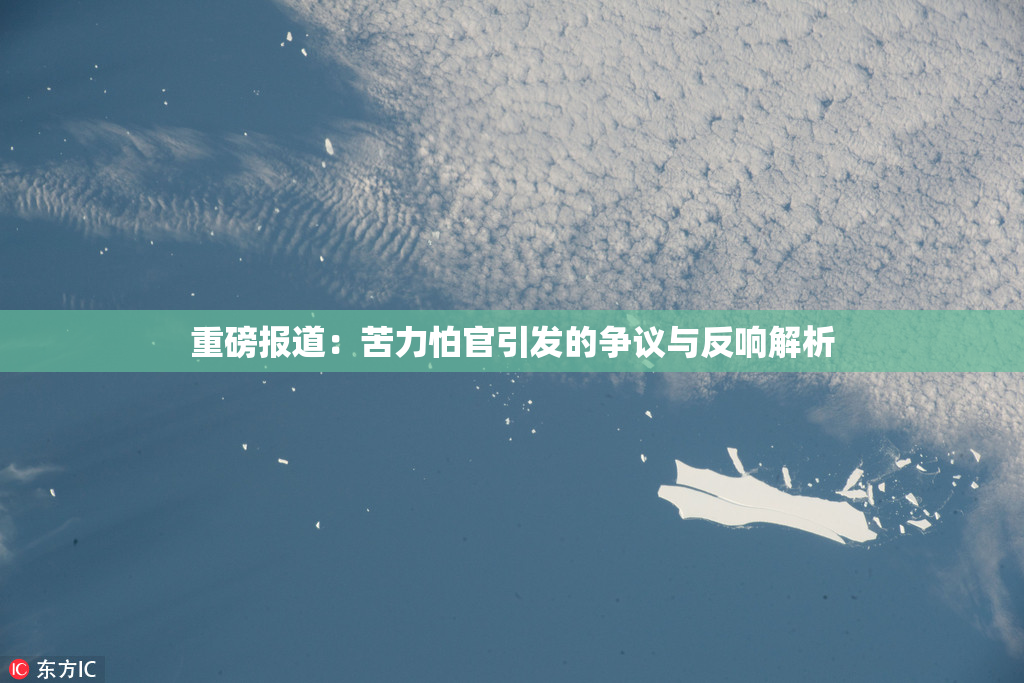 重磅报道：苦力怕官引发的争议与反响解析