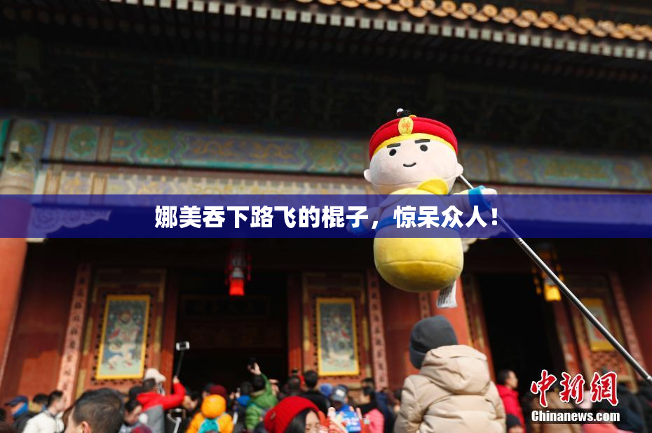 娜美吞下路飞的棍子，惊呆众人！
